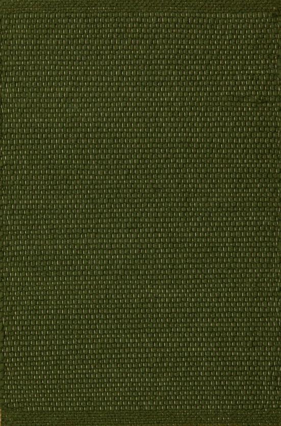 Luxury Stair Runner MOMO Rugs Woolfine 131 made of New Zealand Wool