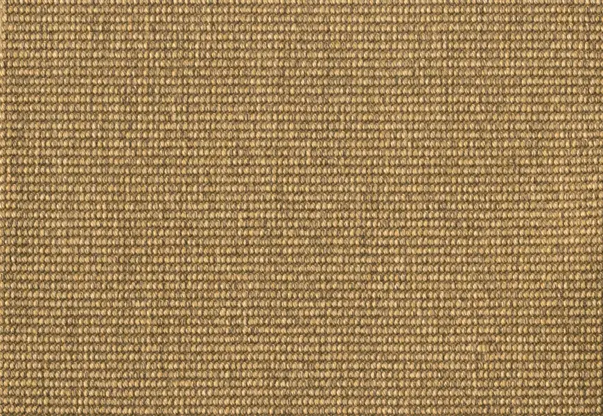 Rug MOMO Rugs Sisal Bouclé Beige