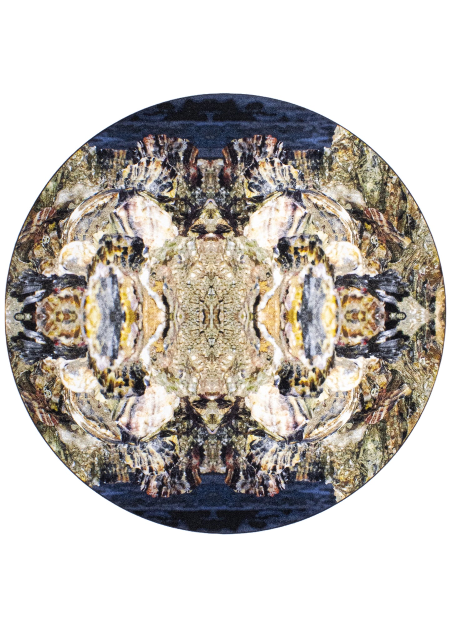 Design rug | Waddenweelde Oyster