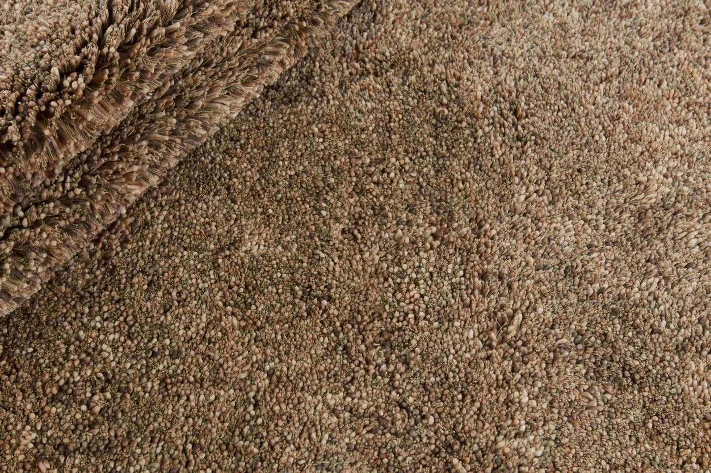 Carpet MOMO Rugs Coral Beige