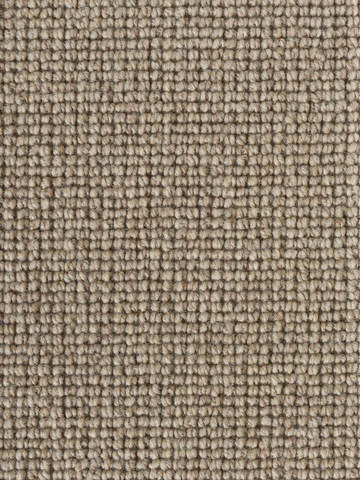 Rug MOMO Rugs Pure Crystal Haze
