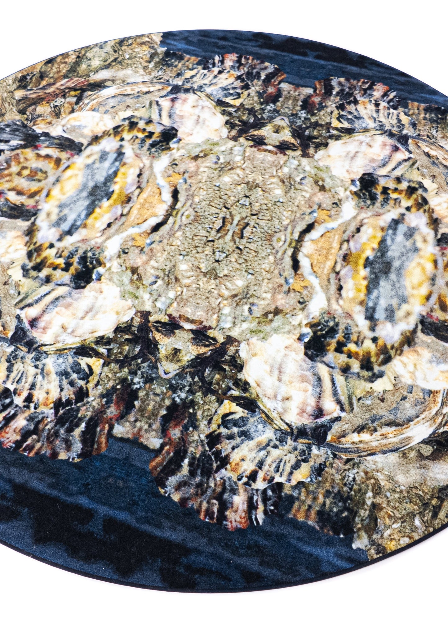 Design rug | Waddenweelde Oyster