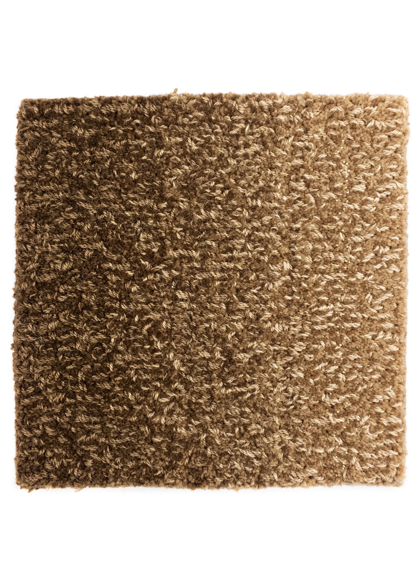 Carpet MOMO Rugs Studio Fusion Gradient Brown