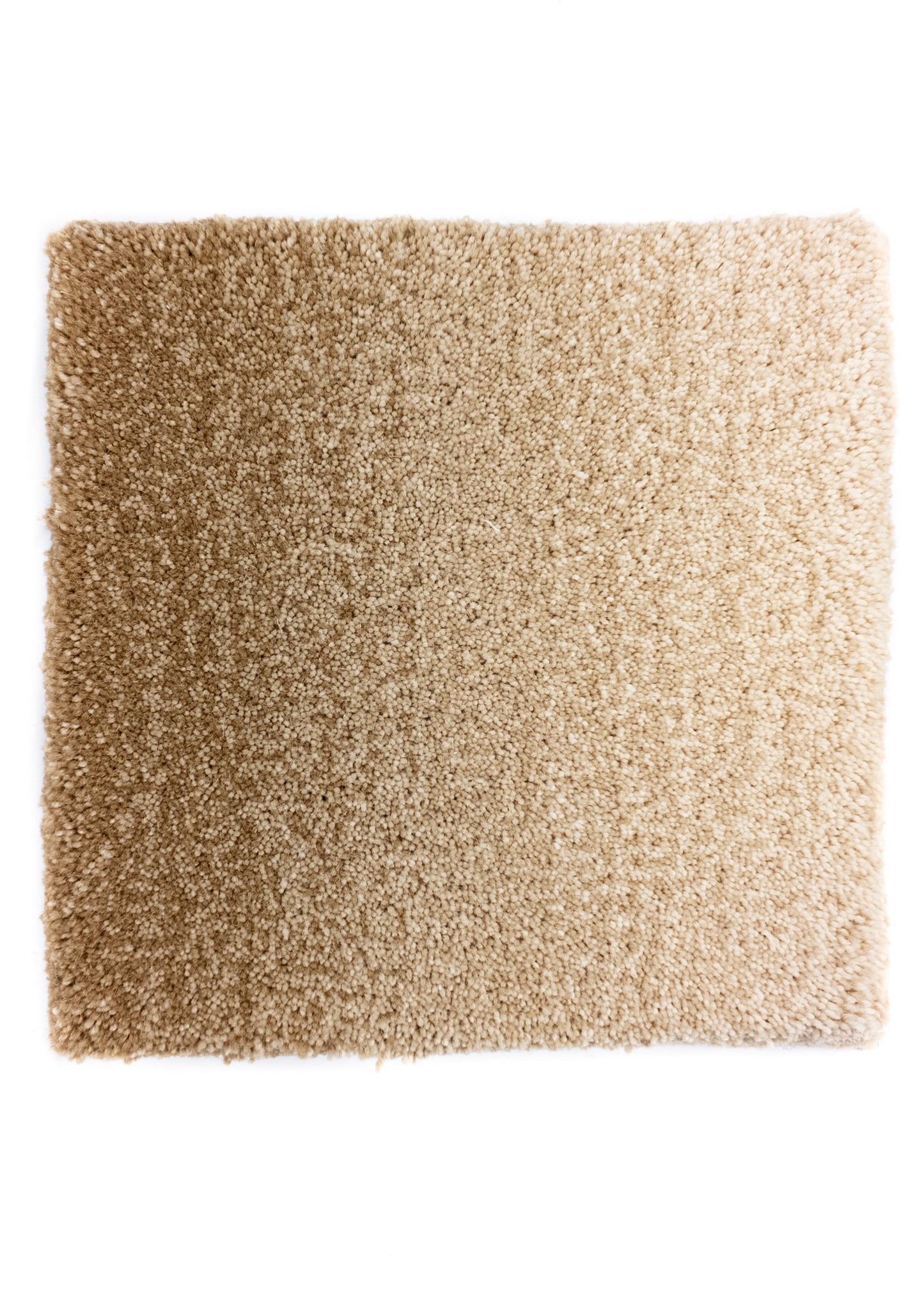 Carpet MOMO Rugs Studio Fusion Gradient Sand