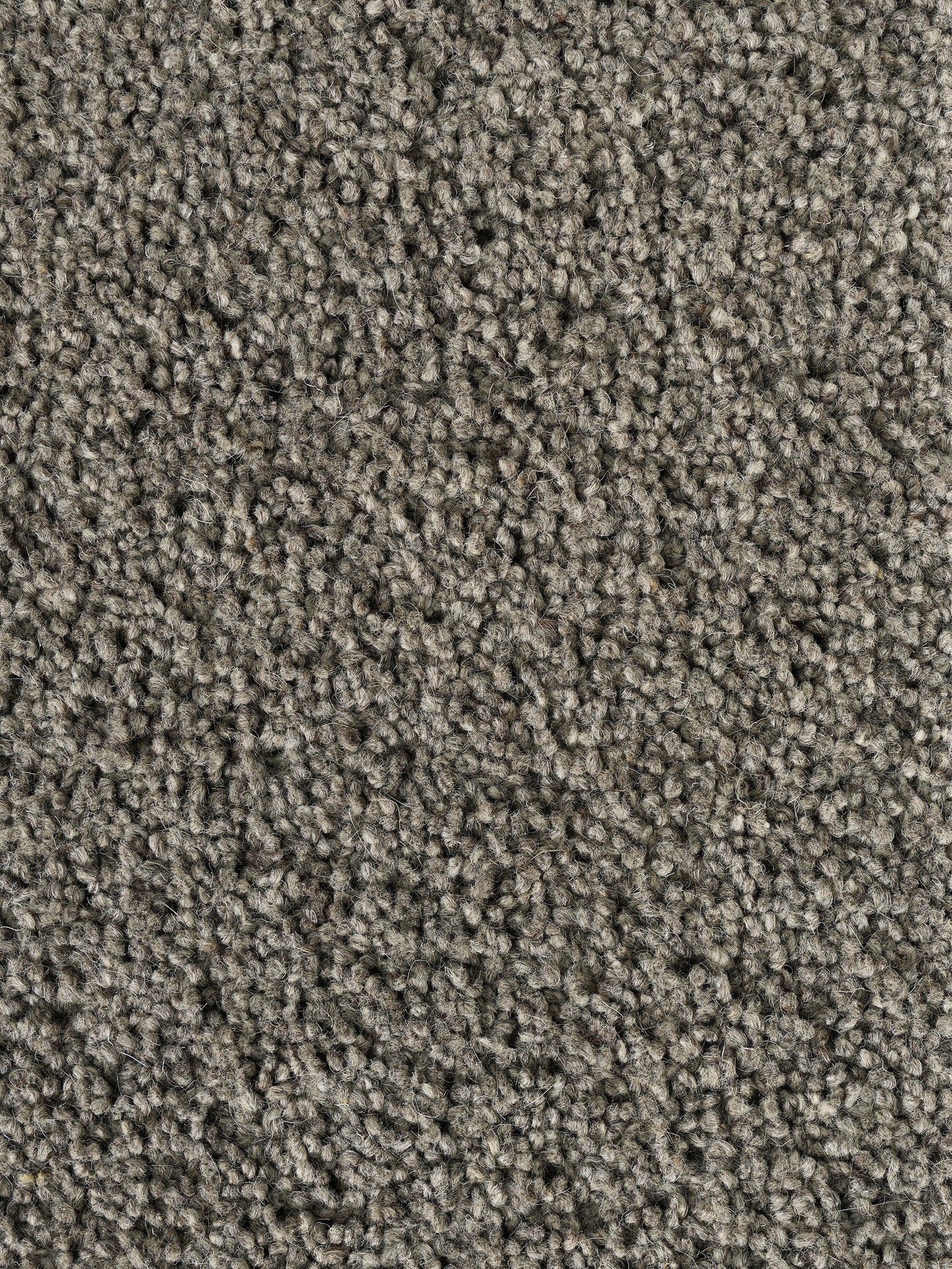 Rug MOMO Rugs Pure Sincere Iron