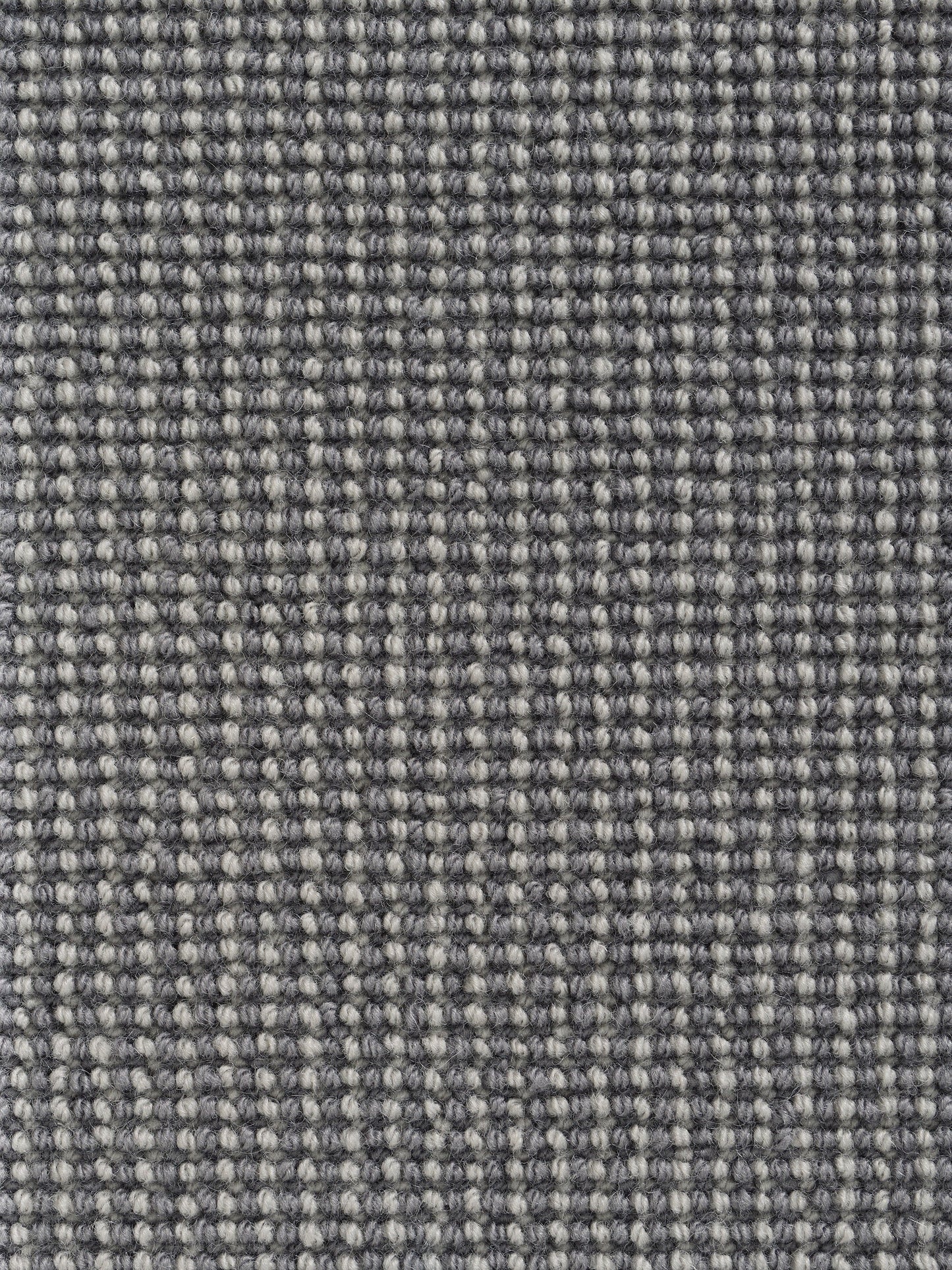 Rug MOMO Rugs Pure Sterling Shark
