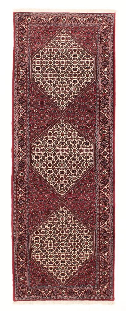 Carpet MOMO Rugs Bidjar Fine 44