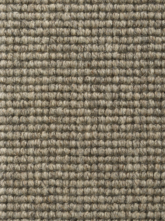 Rug Momo Rugs Pure Algiers Taupegrice