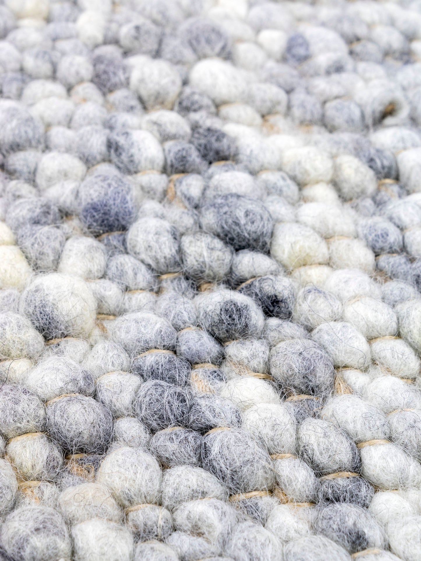 Carpet MOMO Rugs Natural Weaves Bellano 536