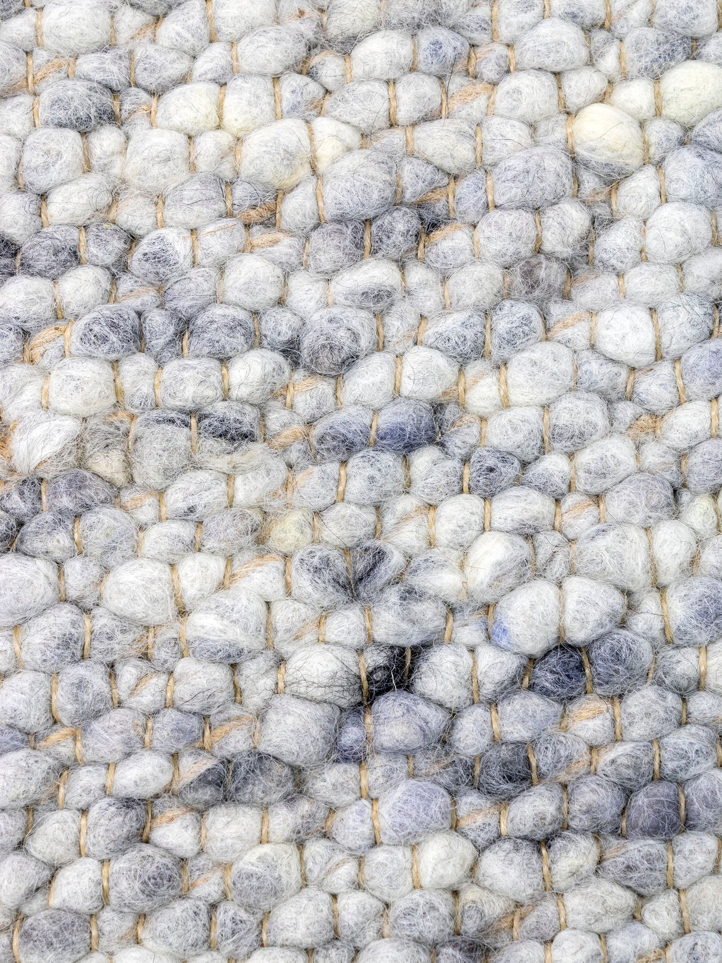 Carpet MOMO Rugs Natural Weaves Bellano 536