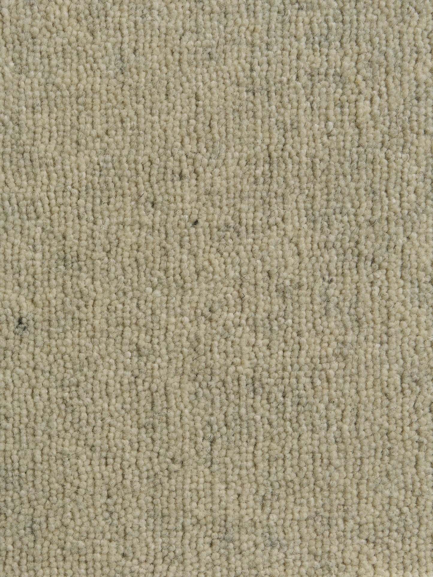 Rug MOMO Rugs Pure Berlin Nectar