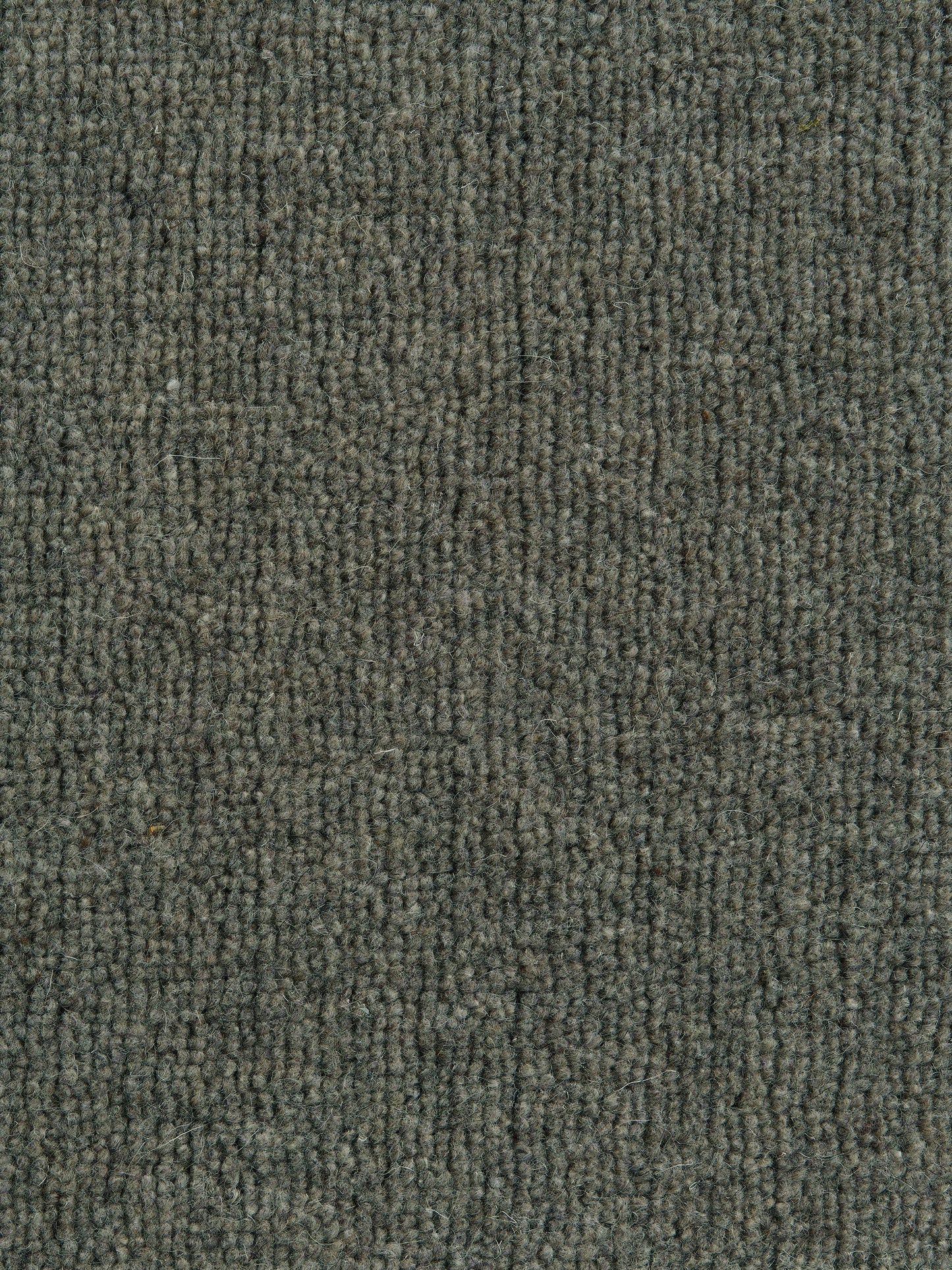 Rug MOMO Rugs Pure Berlin Shadow