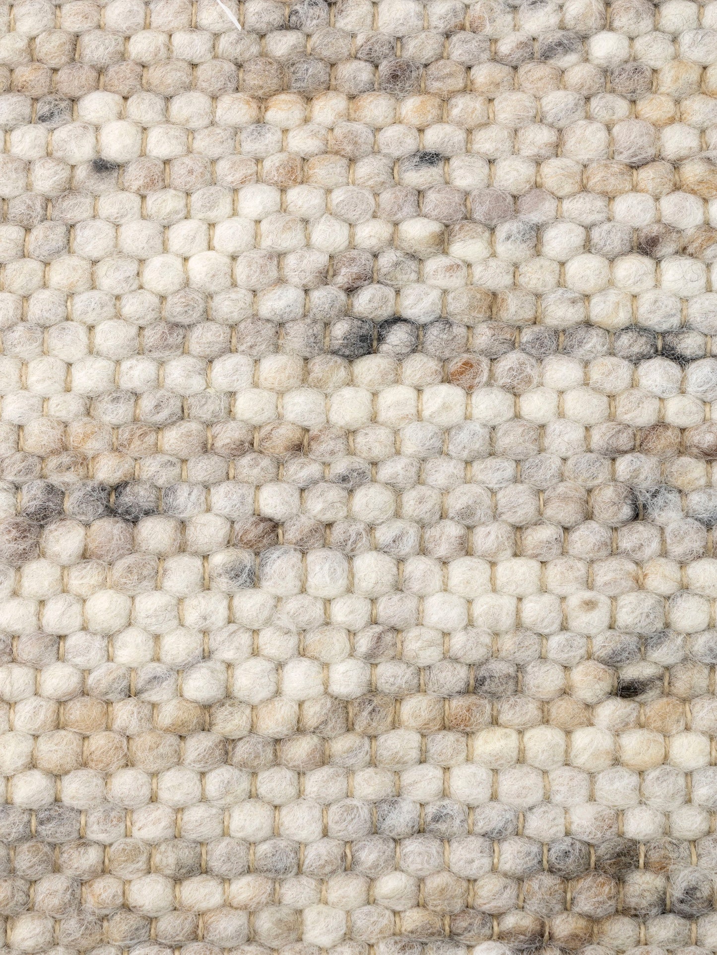 Carpet MOMO Rugs Natural Weaves Carlotta 501
