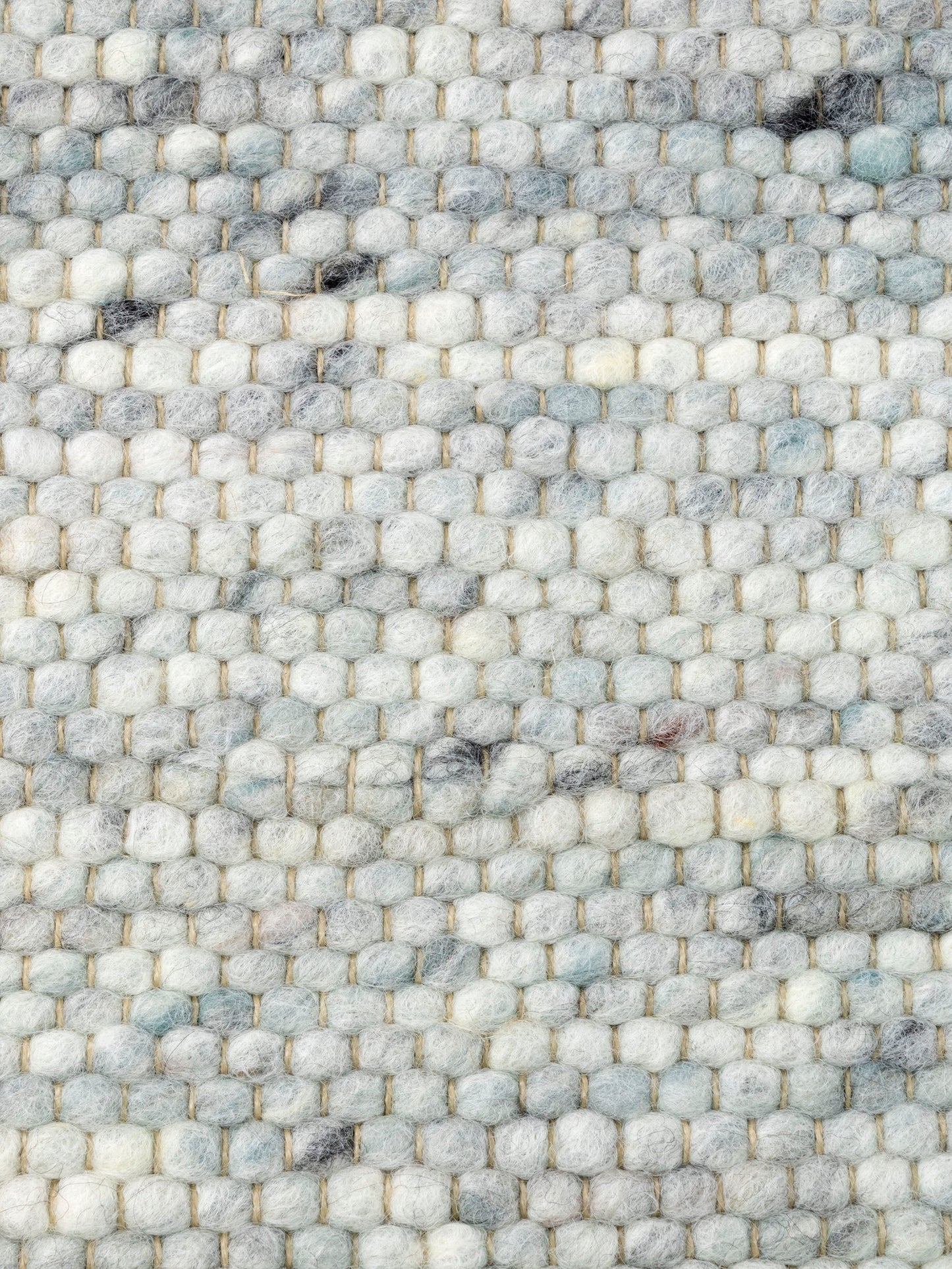 Carpet MOMO Rugs Natural Weaves Carlotta 548