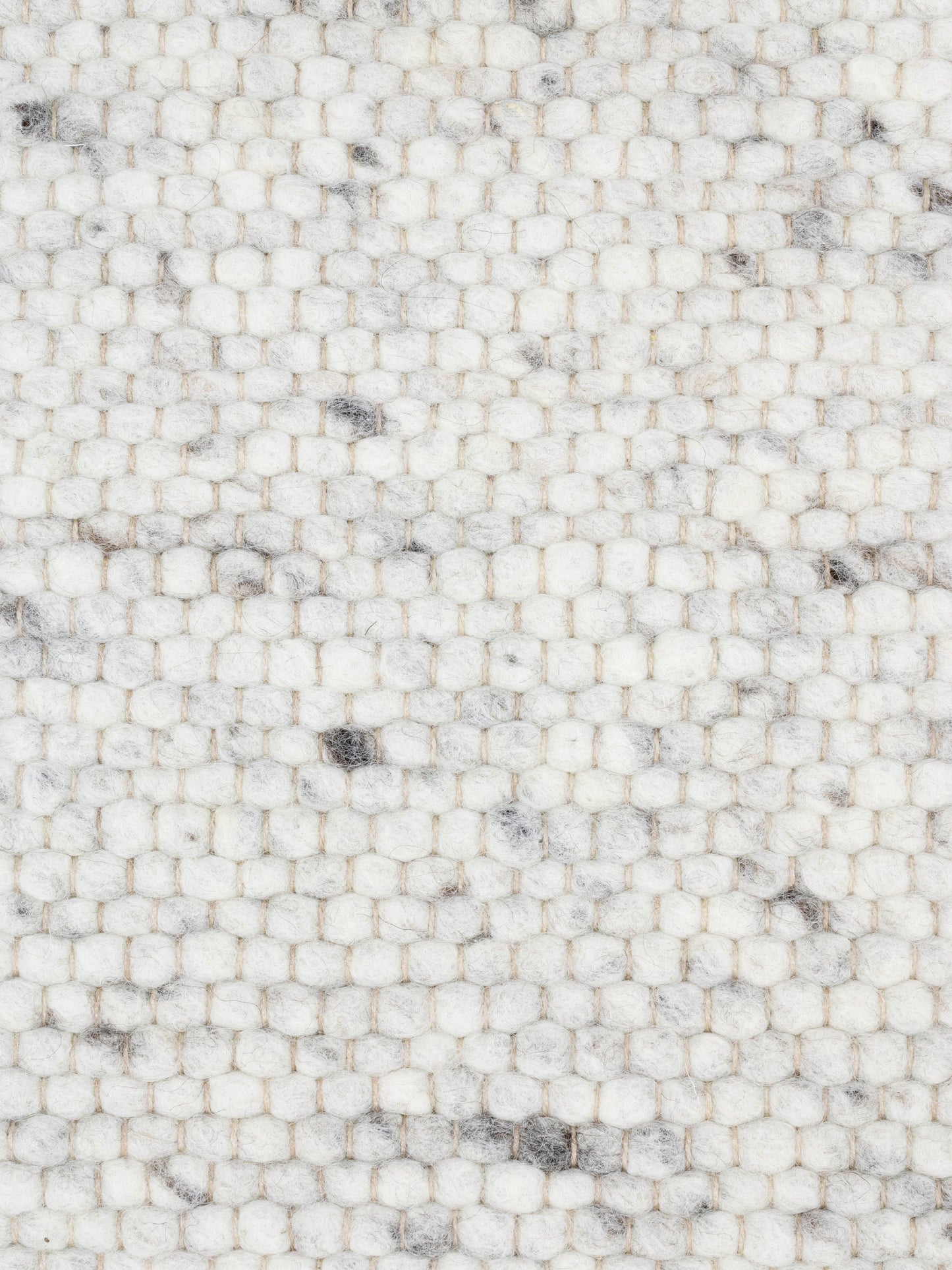 Carpet MOMO Rugs Natural Weaves Carlotta 133
