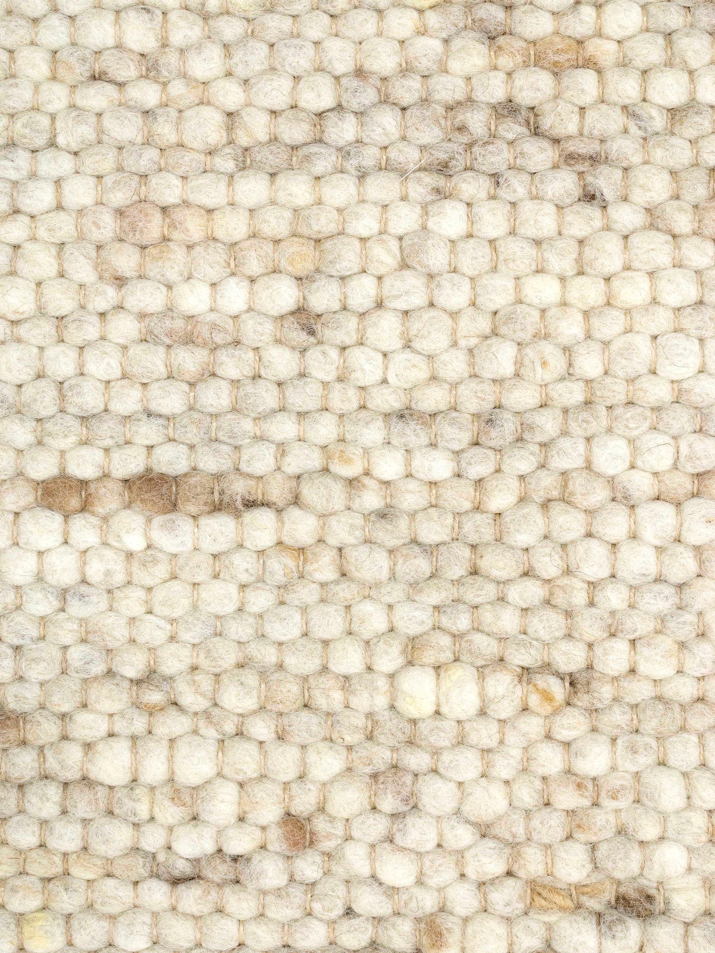 Carpet MOMO Rugs Natural Weaves Carlotta 3