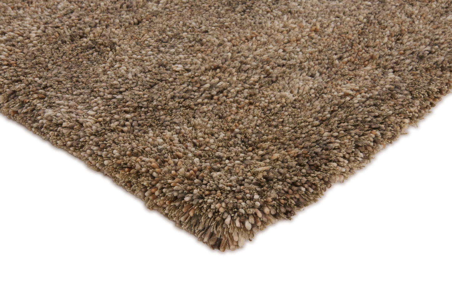 Carpet MOMO Rugs Coral Beige