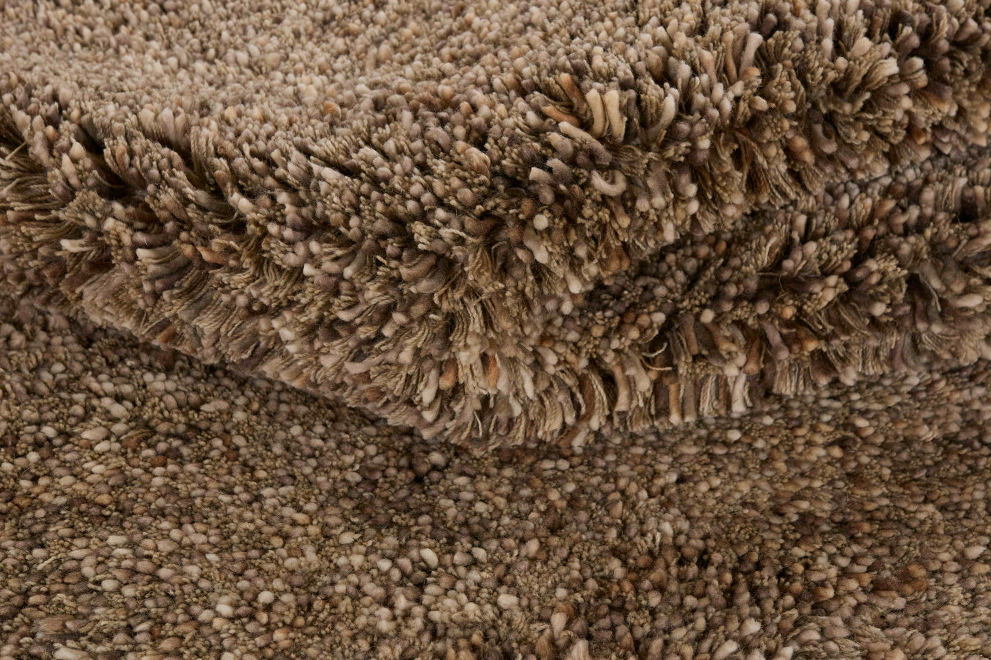 Carpet MOMO Rugs Coral Beige