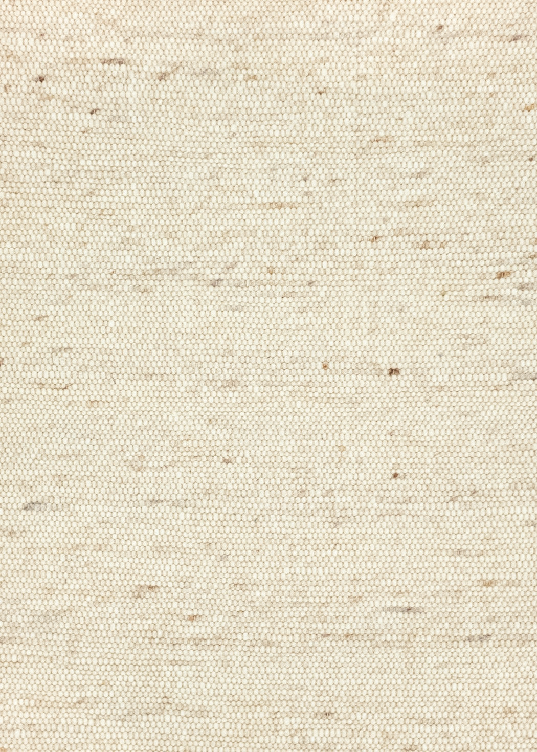 Carpet MOMO Rugs Natural Weaves Perledo 460