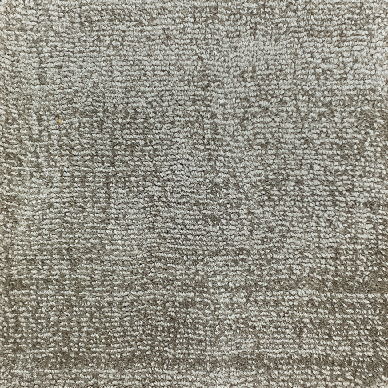 Rug MOMO Rugs Velluto Taupe 1029