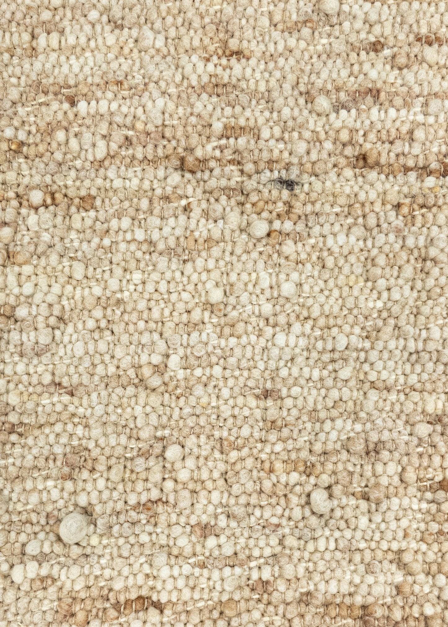 Carpet MOMO Rugs | Minori 560