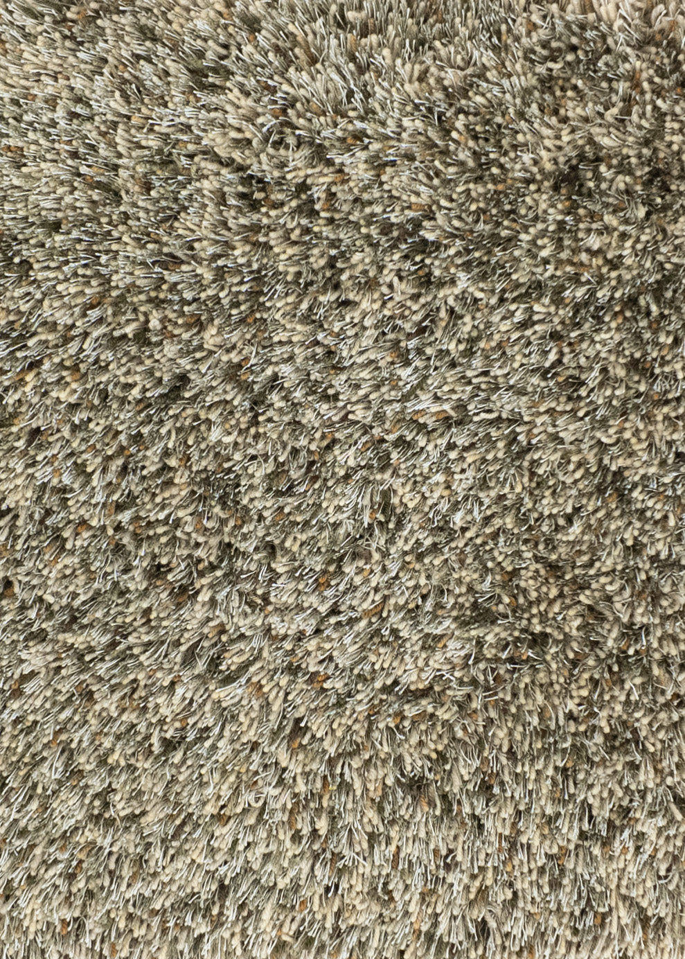 Rug MOMO Rugs | Brilliant Moss 136937