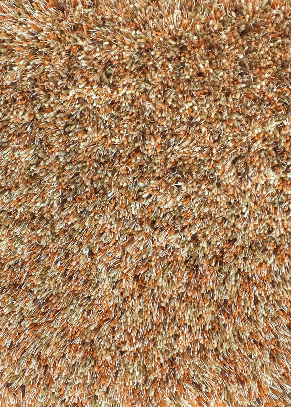 Rug MOMO Rugs | Brilliant Pumpkin 136923