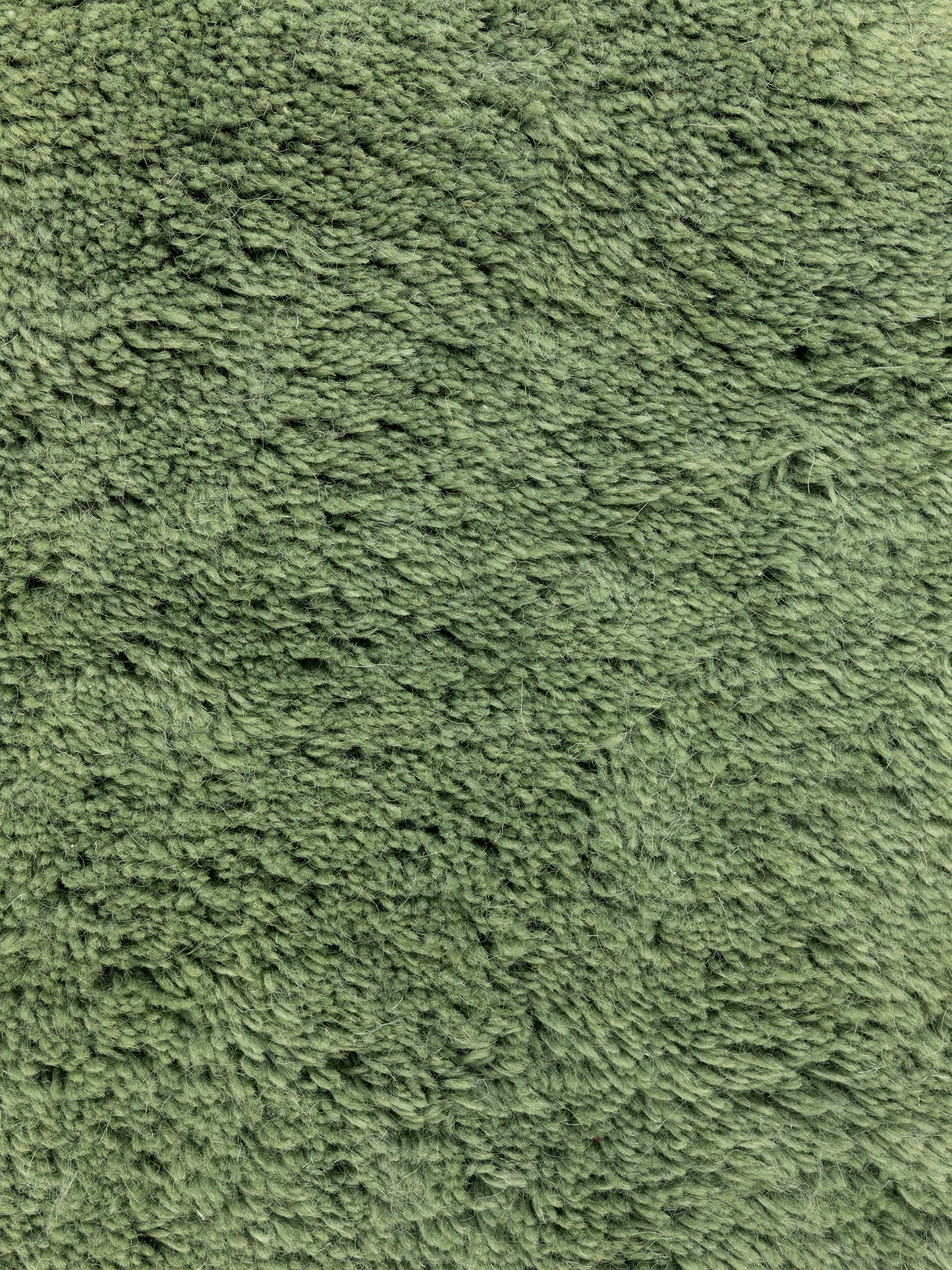 Carpet MOMO Rugs Salerno Green