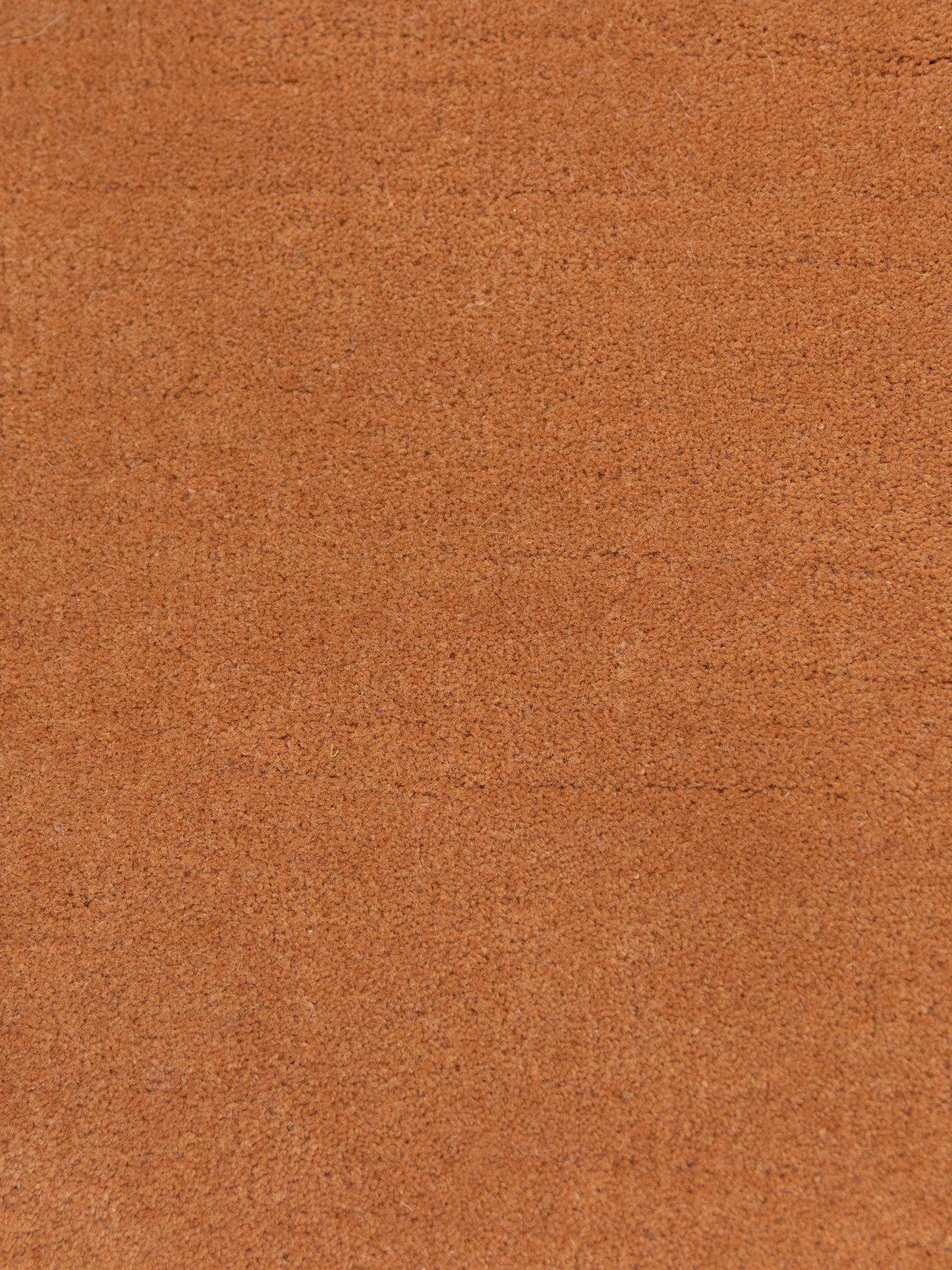 Carpet MOMO Rugs Studio | Wool Simple Sticky Toffee