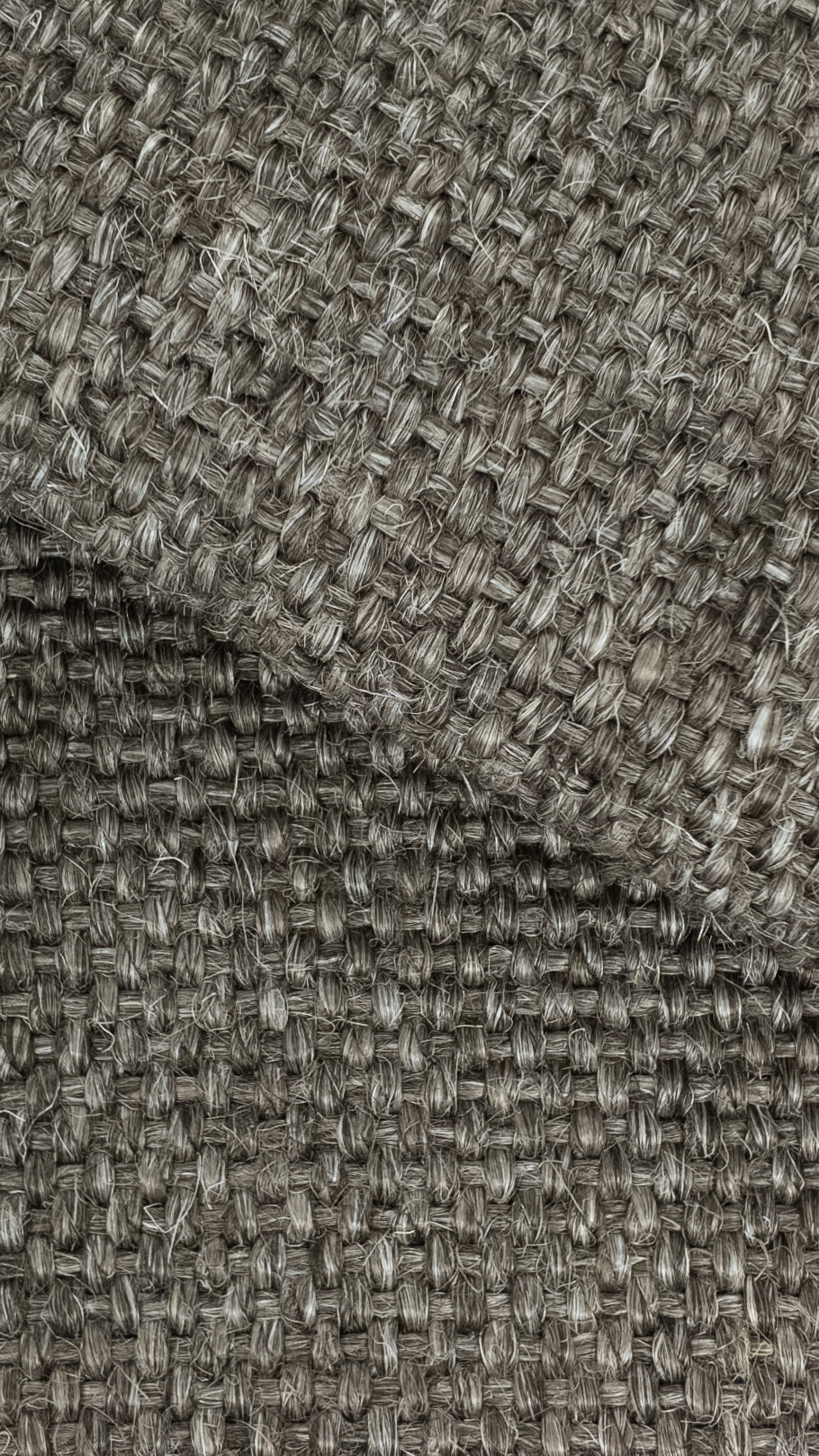 Rug MOMO Rugs Oase 3817