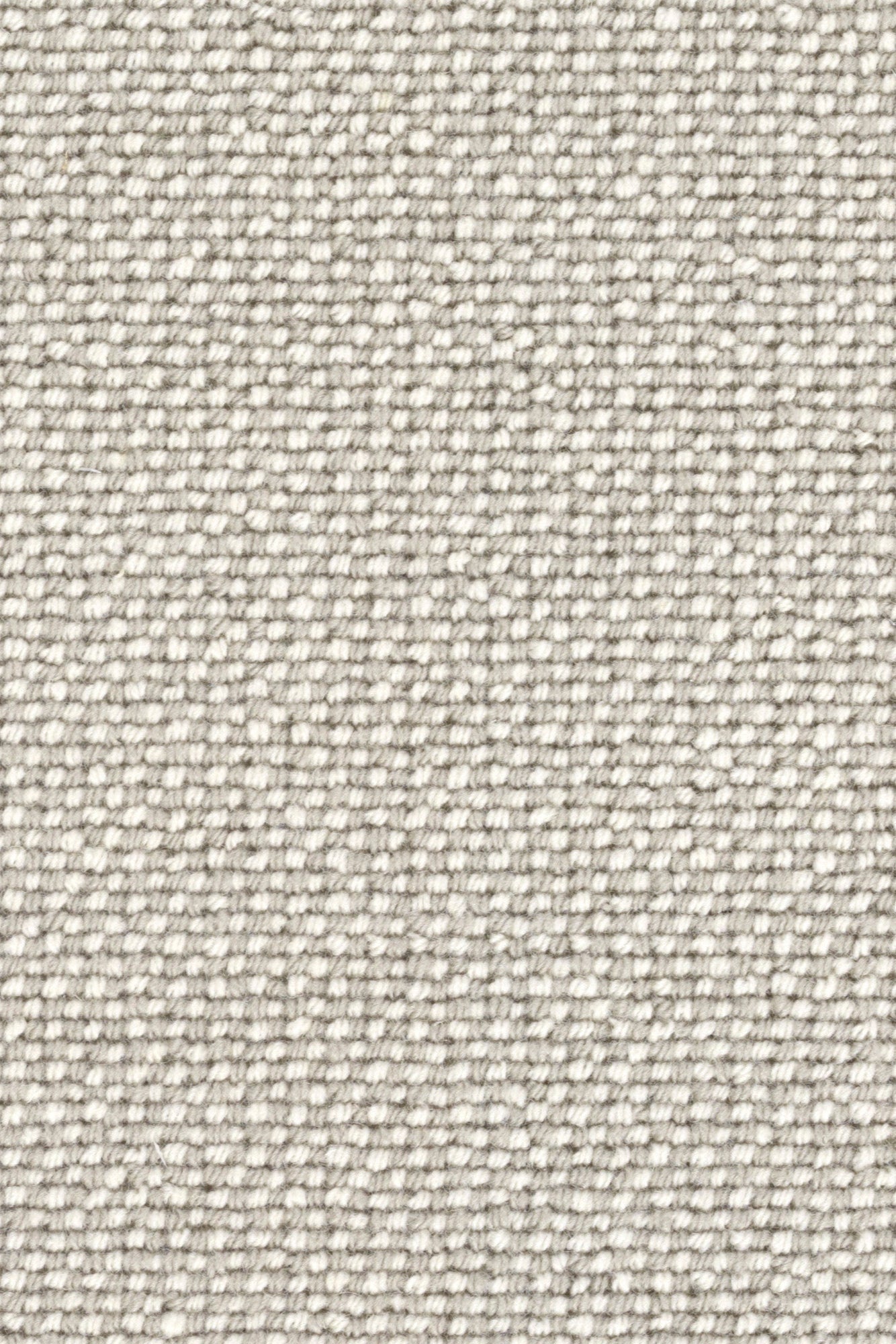 Rug MOMO Rugs Pure Respect Calico
