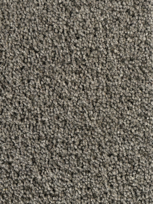 Rug MOMO Rugs Pure Sincere Iron