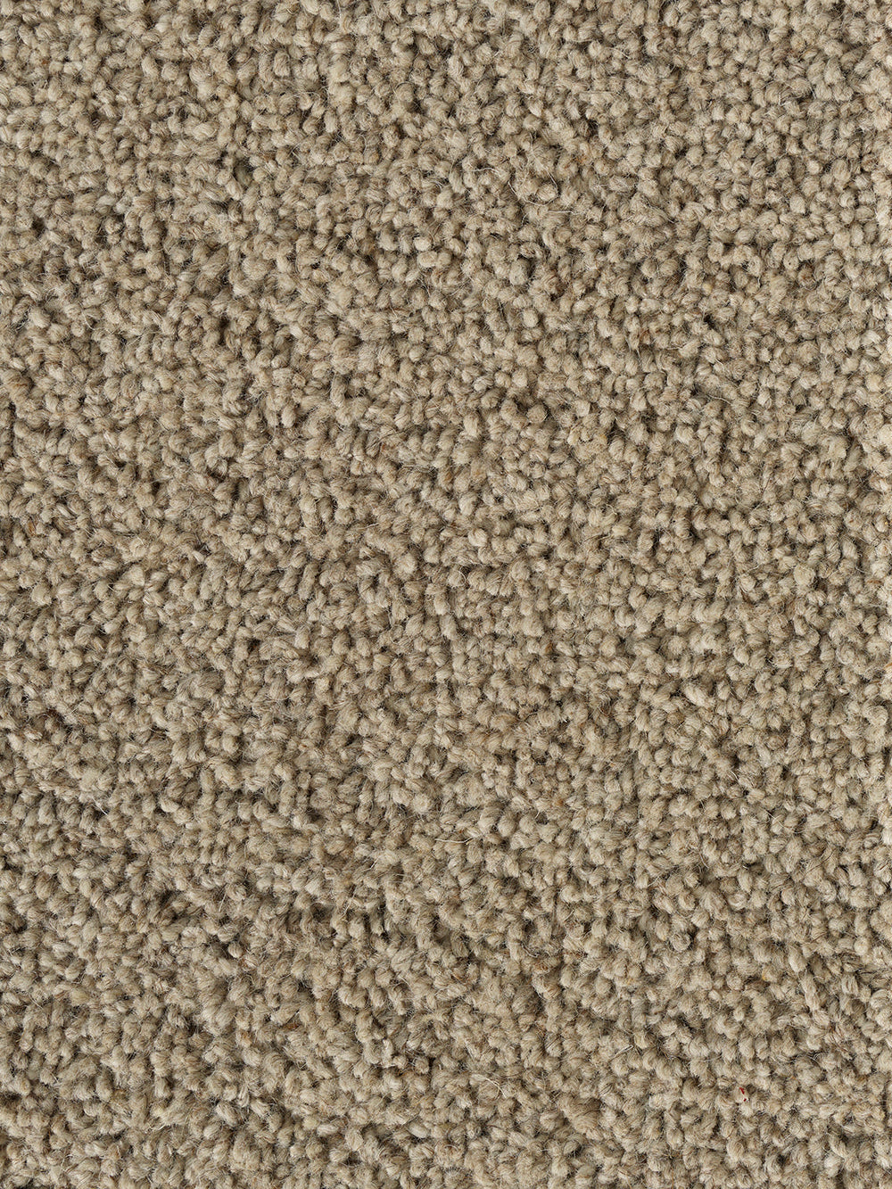 Rug MOMO Rugs Pure Sincere Mushroom