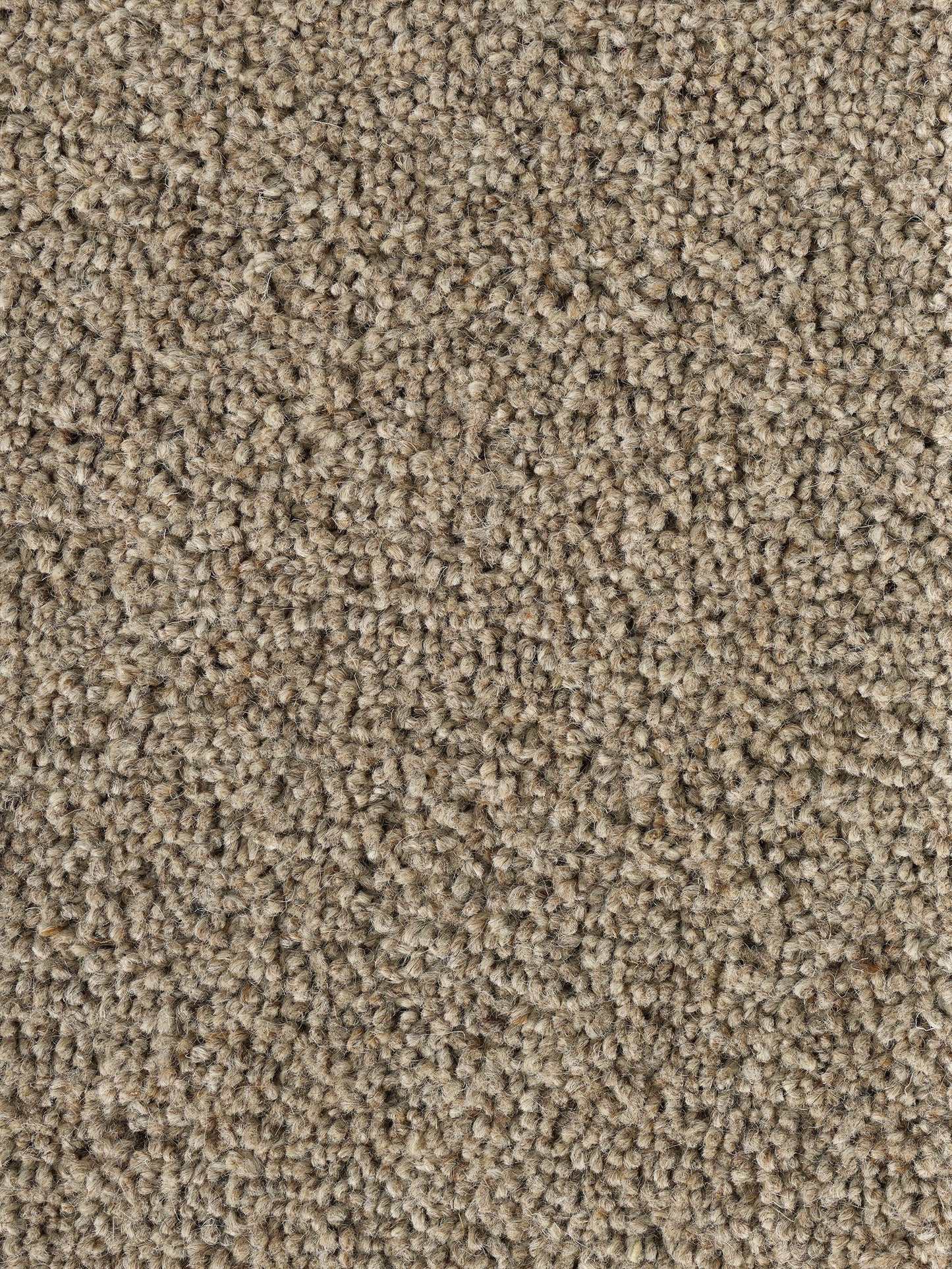 Rug MOMO Rugs Pure Sincere Oak