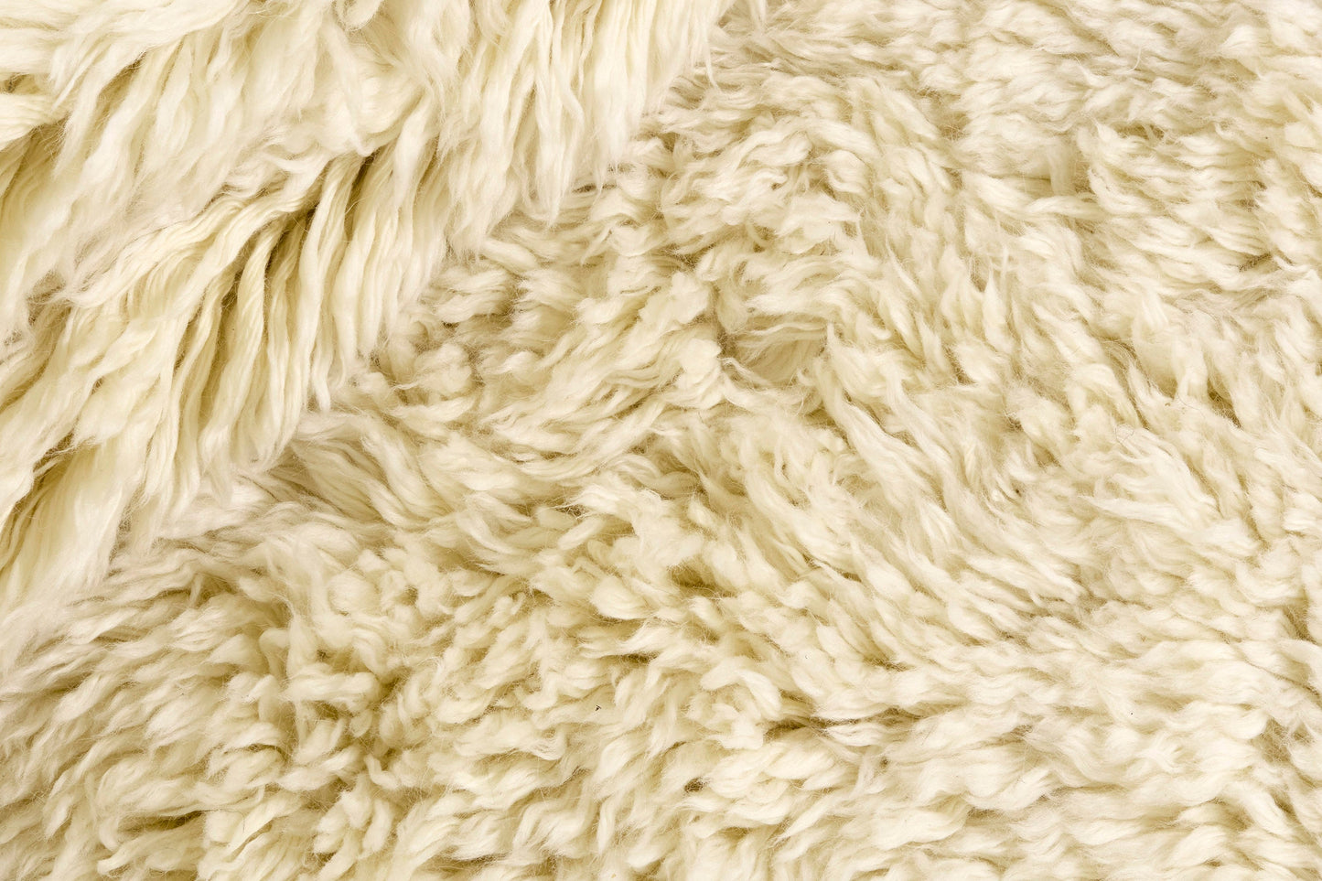 Carpet MOMO Rugs Snow White Plain Ivory