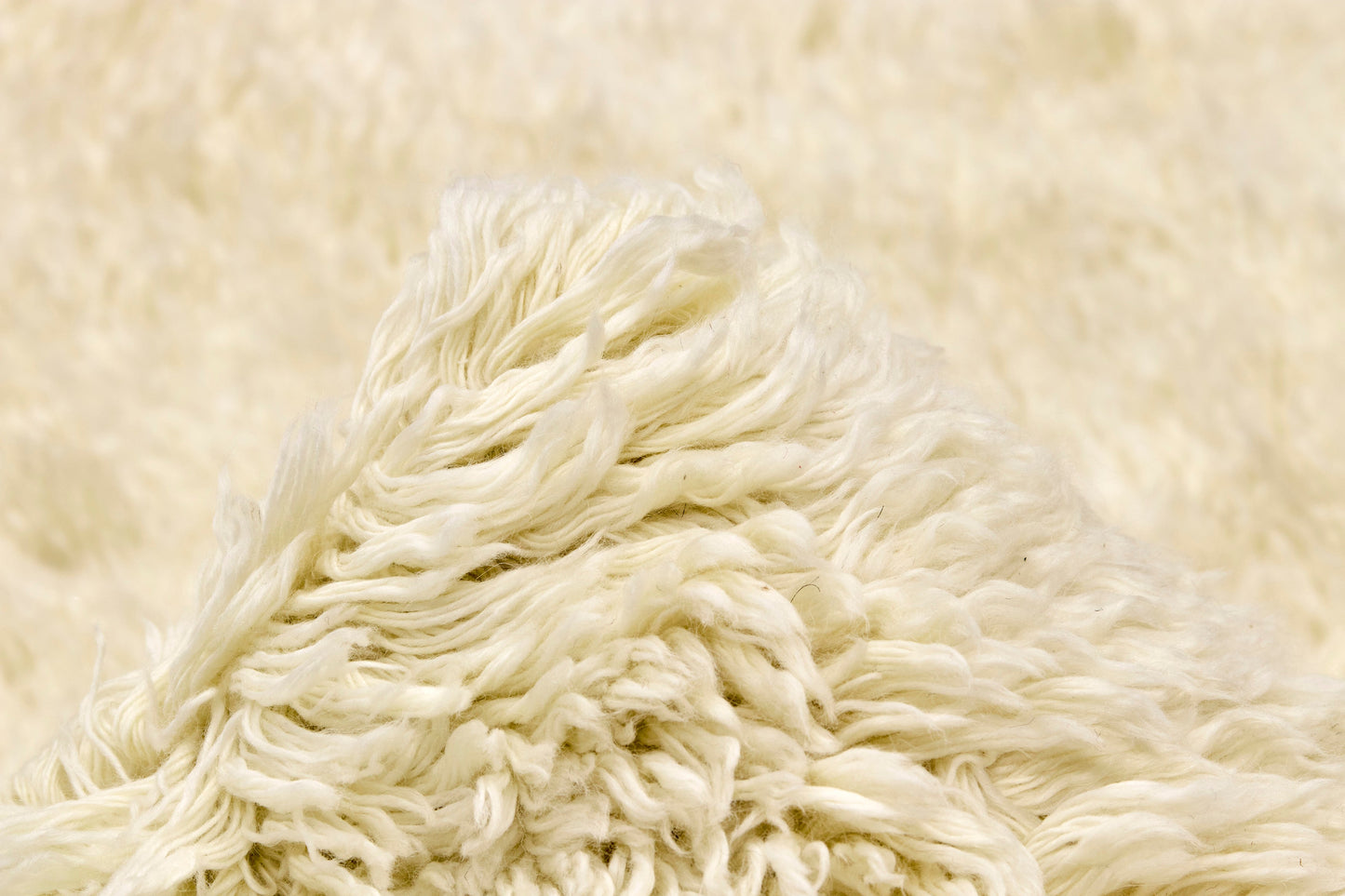 Carpet MOMO Rugs Snow White Plain Ivory