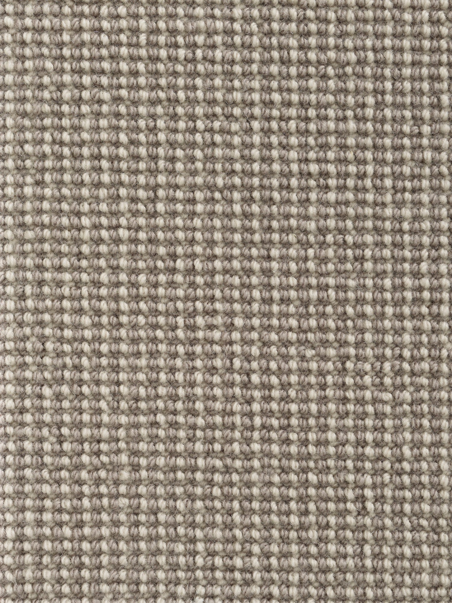 Rug MOMO Rugs Pure Sterling Eggshell