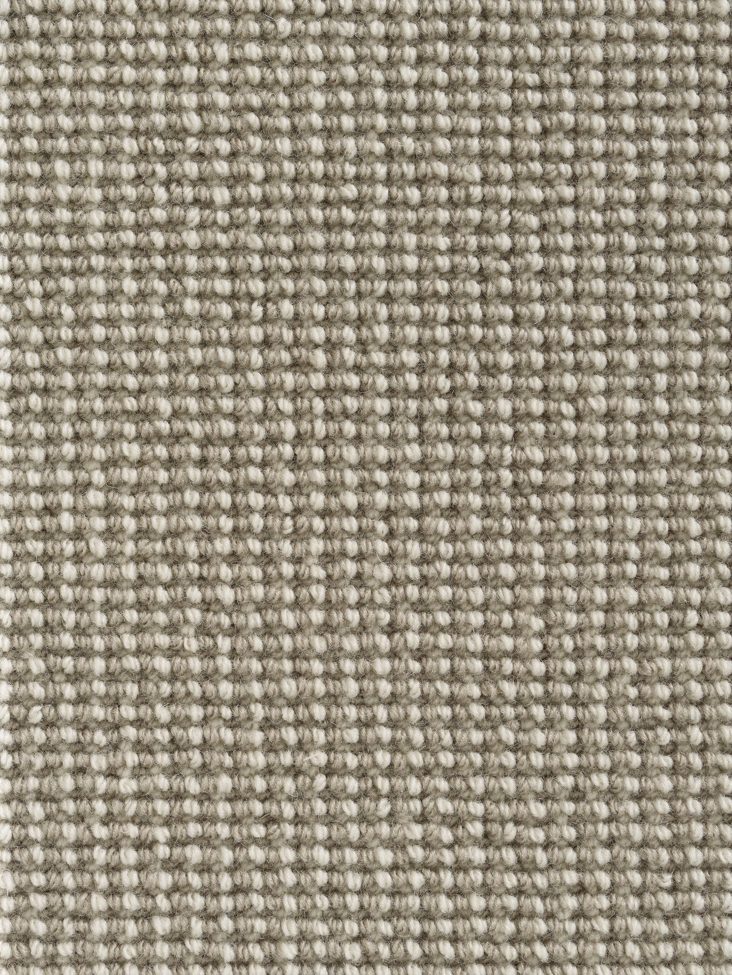 Rug MOMO Rugs Pure Sterling Reseda