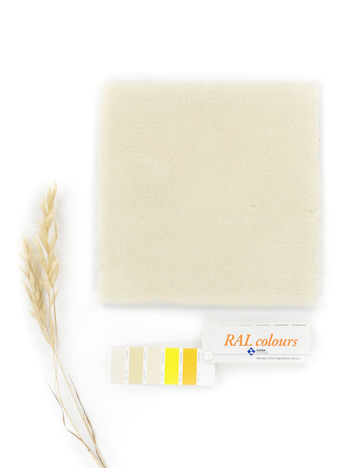 Vloerkleed MOMO Rugs Naturais Fine Cotton White Vloerkledenwinkel